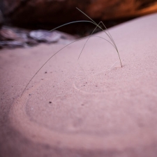 Circles in the Sand