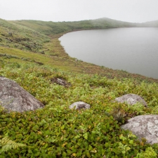 Foggy Lake