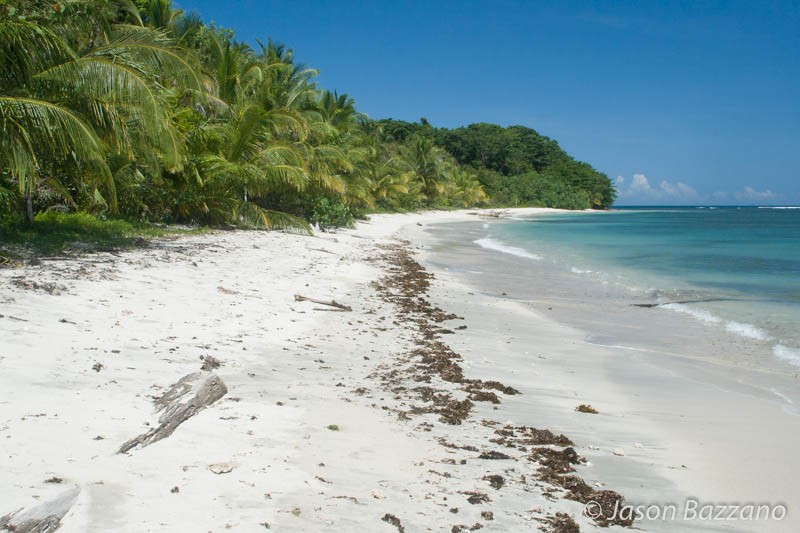 Tropical beach.