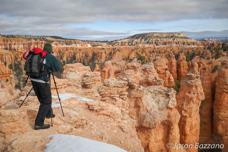 Exploring the natural world with photography.