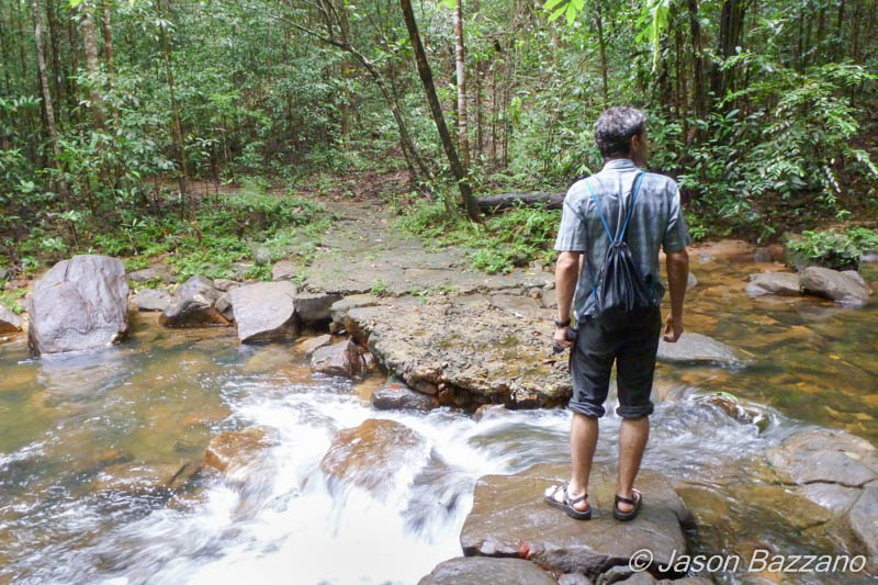 Travel at the speed of light: traveling light in the tropics.