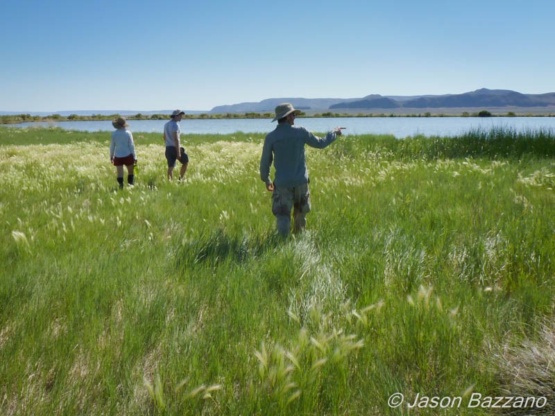 "Hey, is that an alkaline lake?"